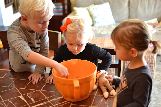 Pumpkin Chocolate Chip Cookies