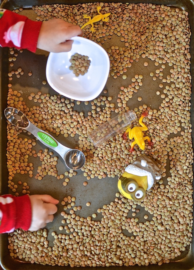Sensory Play with Lentils