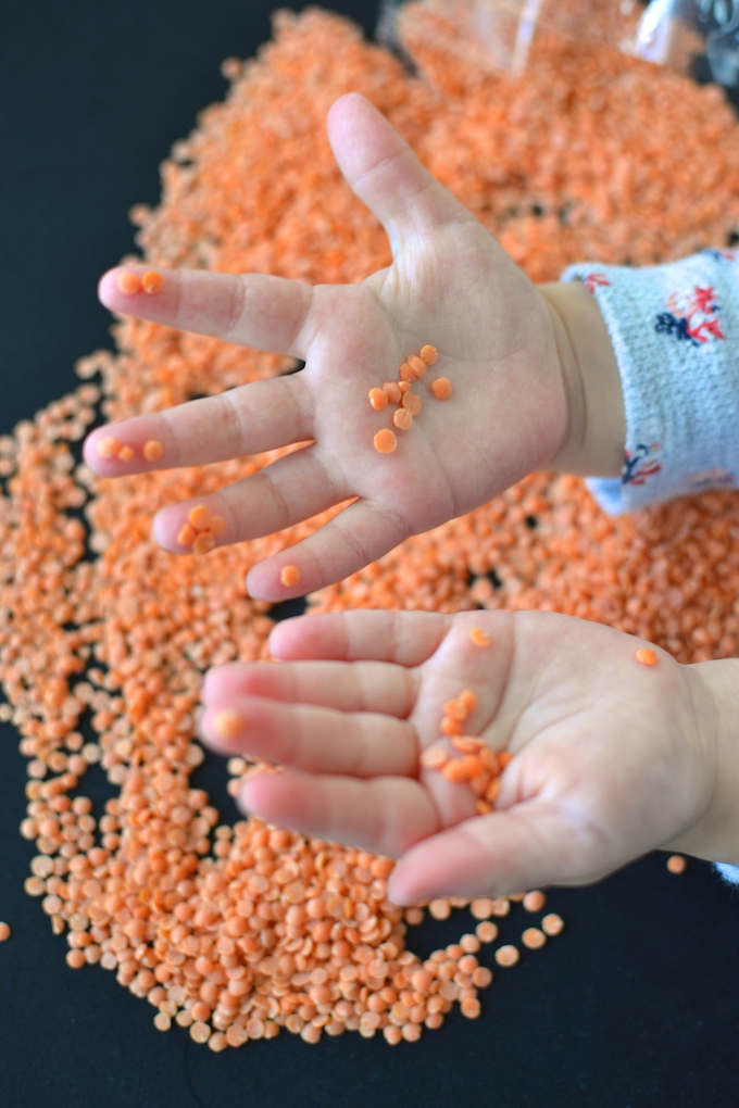 Sensory Play with Lentils