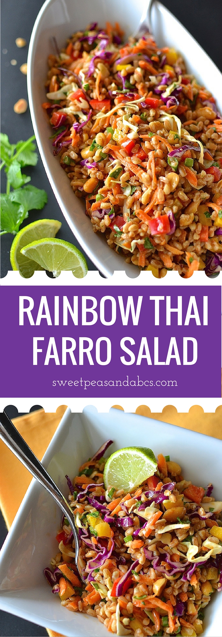 Rainbow Thai Farro Salad - Crunchy colorful veggies and chewy, nutty farro in a creamy Thai peanut dressing. A perfect vegetarian lunch or side dish! ~sweetpeasandabcs.com