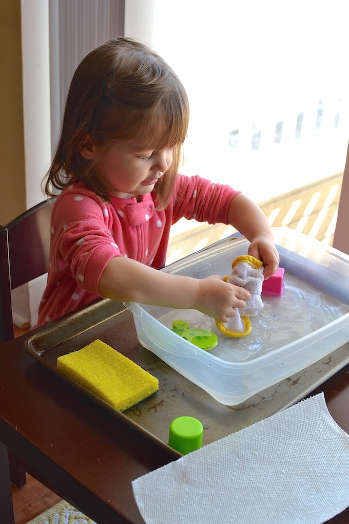 Science Investigation: Absorption. Investigating how materials, like sponges, paper towels and even quinoa, absorb water! ~sweetpeasandabcs.com