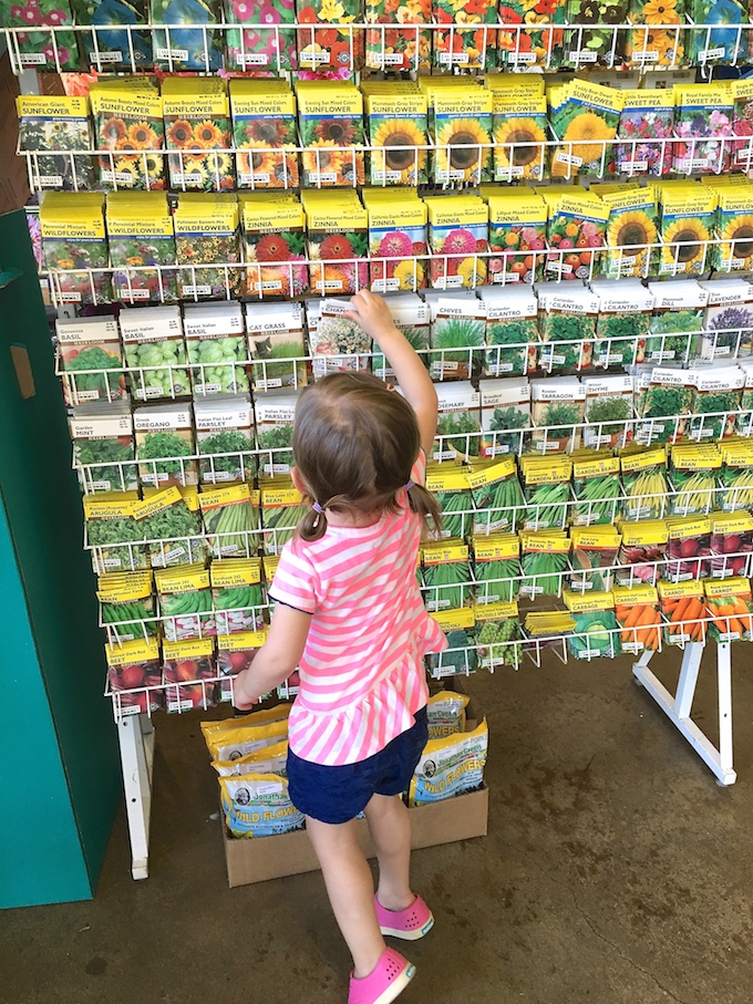 Plant a Seed, Watch it Grow! - Pledge an "Act of Green" by starting a small herb and vegetable garden with your kids! ~sweetpeasandabcs.com