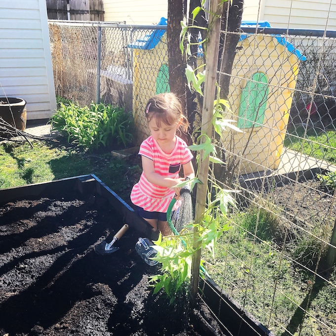 Plant a Seed, Watch it Grow! - Pledge an "Act of Green" by starting a small herb and vegetable garden with your kids! ~sweetpeasandabcs.com