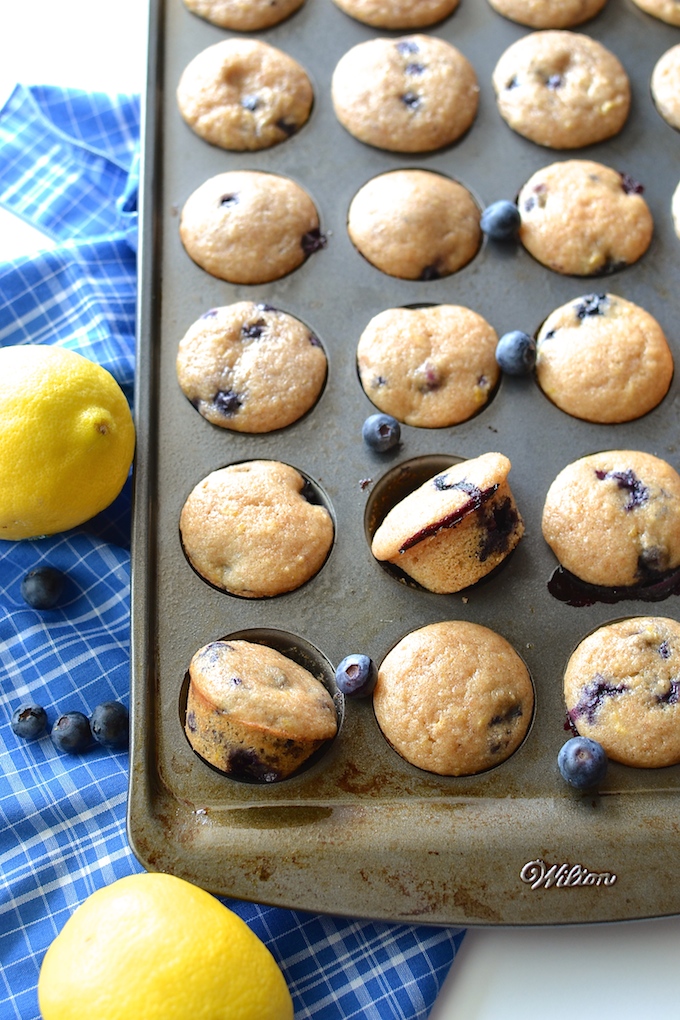 Lemon Blueberry Muffins (Egg-Free) - Studded with fresh blueberries and flecked with lemon zest, these Lemon Blueberry Muffins are fluffy, moist and egg-free! ~sweetpeasandabcs.com