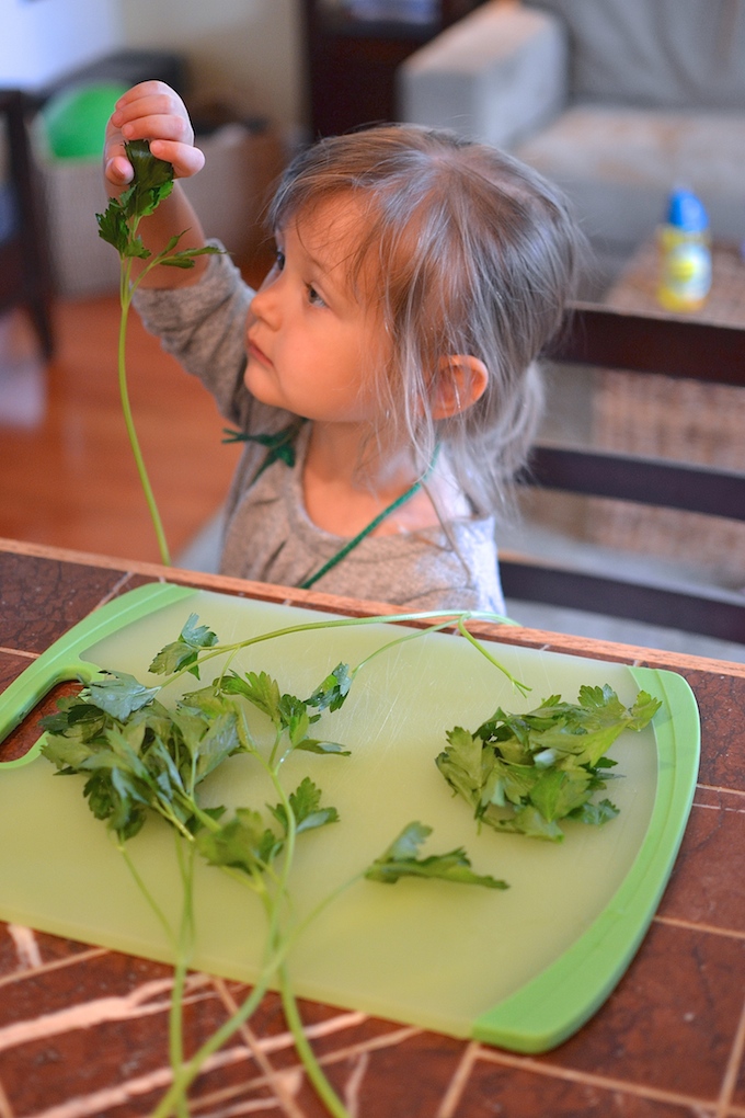 Making Summertime Mixed Grill with Lemony Orzo - Kids in the kitchen can help prepare the herbs! ~sweetpeasandabcs.com