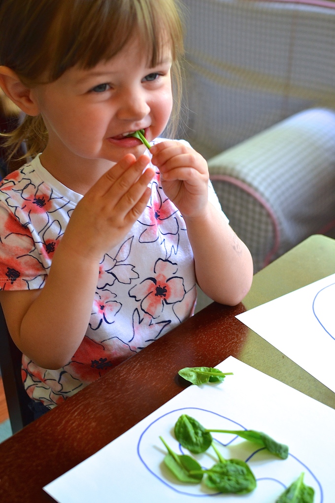 Exploring the Letter S - Use spinach leaves for hands-on exploration with the letter S. ~sweetpeasandabcs.com